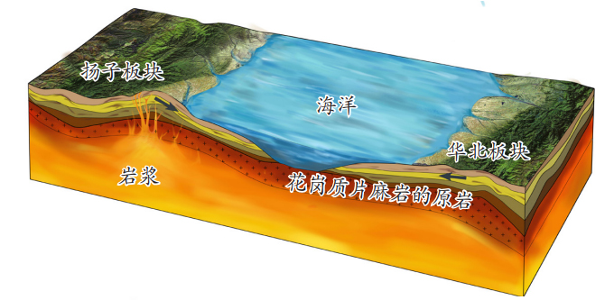Around 800 million years ago, mantle upwelling triggered intense magmatic activity, forming a large amount of protolith for granitic gneiss.