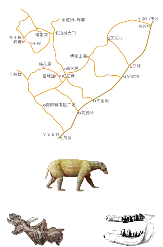 Geological Research