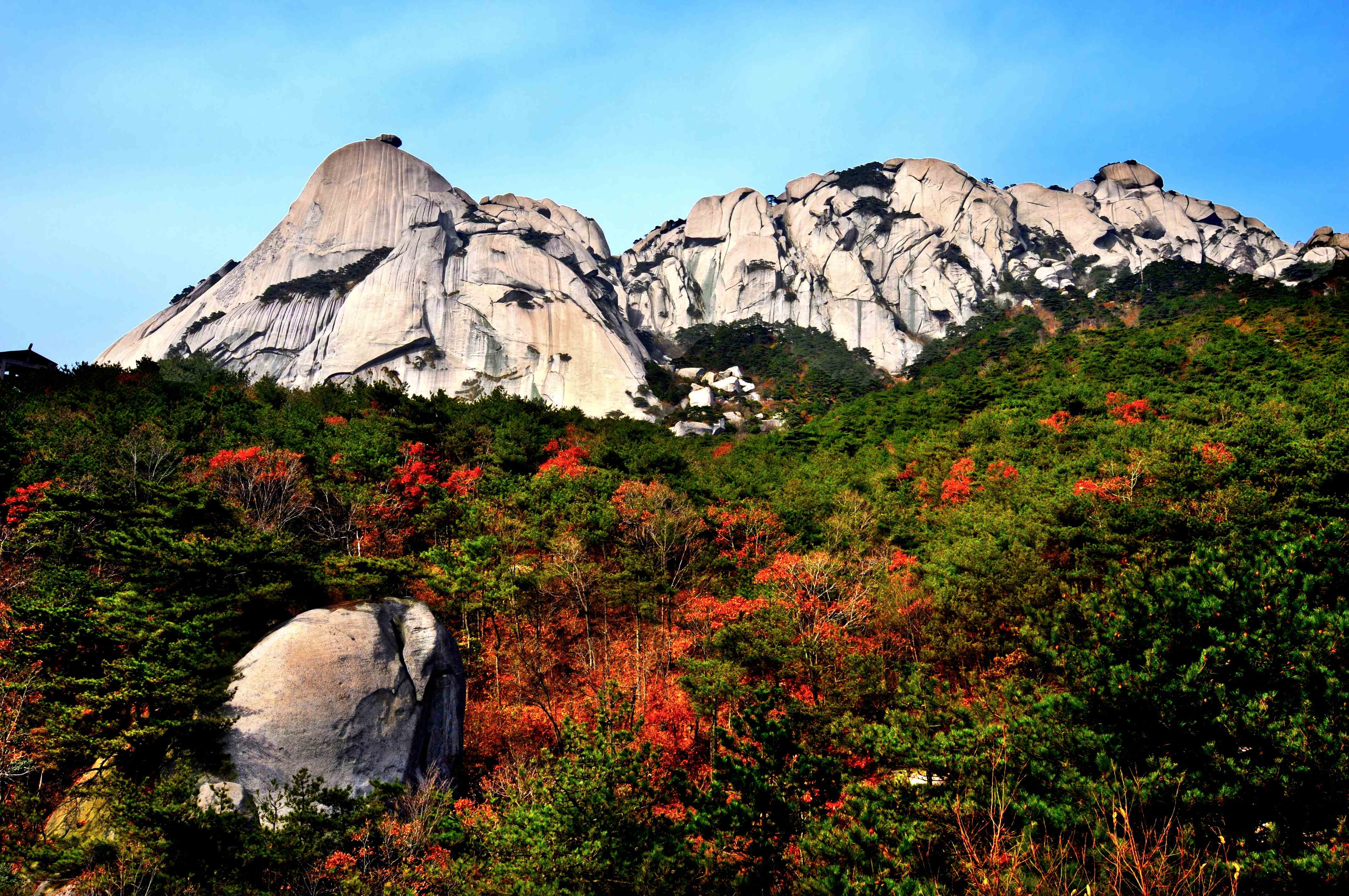 Autumn Scenery
