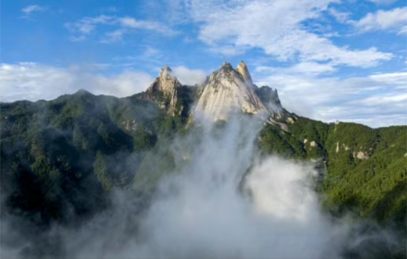 Exclusive “One-Time Ticket Purchase, Lifetime Free Admission” Promotional Ticket for Residents of Anhui Province, Nanjing, Wuhan, and Nanchang