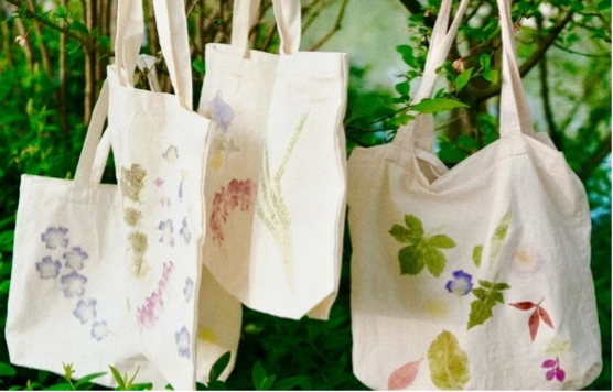 A Guide to Experiences in and around Tianzhushan Scenic Area — Nature Study Tours + Cultural Experiences + Parent-Child Handcraft Fun!